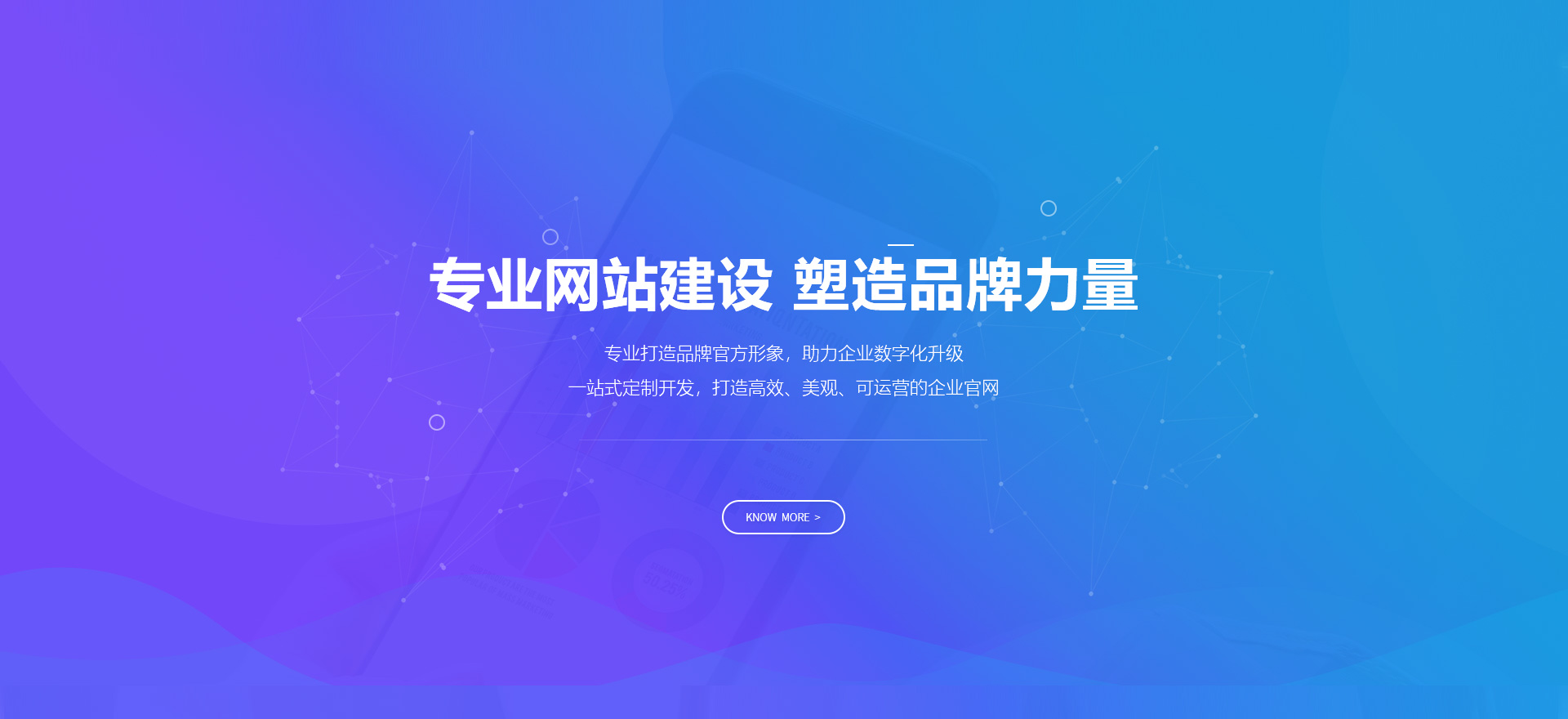 肃南建站-专业网站建设 塑造品牌力量