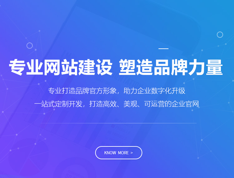 肃南建站-专业网站建设 塑造品牌力量